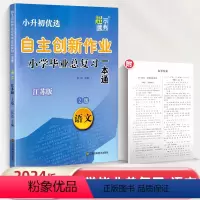 小学六年级 [正版]2024新版自主创新作业小学毕业总复习一本通 语文 江苏版 小学语文专题分类要点讲解练习测试附往年小