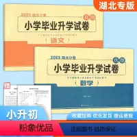 语文+数学[2本] 小学升初中 [正版]2023湖北武汉小升初语文数学真题卷 小学毕业升学试卷小考小升初bi刷卷六6年级