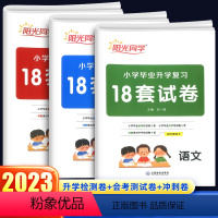 [小学毕业升学复习18套试卷]语文+数学+英语 小学升初中 [正版]2024新版阳光同学小学毕业升学复习18套试卷语文数