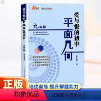 初中平面几何 九年级/初中三年级 [正版]爱与恨的初中平面几何七九年级人教版通用 初一几何专项训练9年级上册下册同步几何