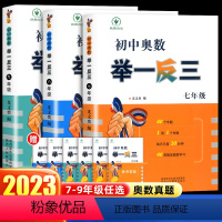 陕教初中奥数举一反三七年级 初中通用 [正版]2024版初中奥数举一反三七八九年级上册下册 数学竞赛真题大全 数学思维训