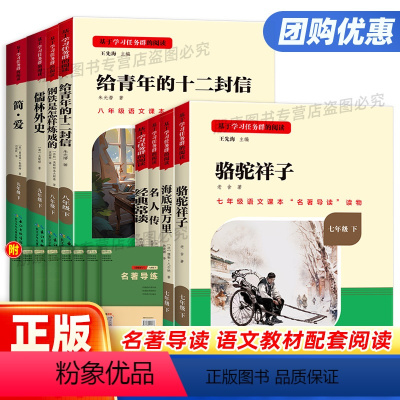 [全2册]名著导读九年级上册必读全国版水浒传+艾青诗精编 [正版]海底两万里钢铁是怎样炼成的经典常谈名人传简爱儒林外史骆