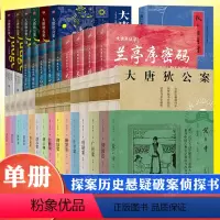 [5册]大唐狄公案2 [正版]狄仁杰狄公系列单册任选大唐狄公案一二三辑15册后的狄仁杰5册大唐悬疑录4册原著探案历史悬疑