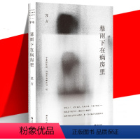 [正版] 暴雨下在病房里 苏方短篇小说集 11篇小说人生百态社会与人的故事 现当代文学书籍 另著一些时刻 异乡记