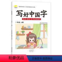 一年级上册 小学通用 [正版]抖音同款小学生写好中国字一年级二年级上册下册三年级四年级五年级六年级语文同步字帖人教版正楷