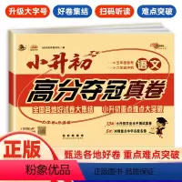 语文 小学升初中 [正版]2024小升初高分夺冠真卷语文数学英语小升初试卷复习冲刺辅导小学六年级毕业升学测试卷初一招生分