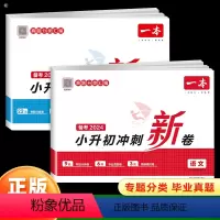 [全2册 小升初冲刺新卷]语文+数学 小学升初中 [正版]2024新版小升初冲刺新卷语文数学英语名校冲刺人教版小学毕业升