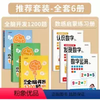 [全6册]全脑开发+数感启蒙练习册(2-4岁) [正版]幼儿全脑开发1200题上中下全三册儿童早教书2-4-5-6岁幼儿