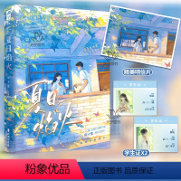 [正版] 夏日焰火1 帘十里著 新增全新番外 青春文学爱情校园暗恋双向救赎言情小说 春枝秋雨 作者