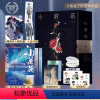 [正版]印特签 两周年烫金刷边特装书 典藏版 小蘑菇 一十四洲 全套2册 青春文学科幻爱情纯爱言情小说实体书籍晋江 天