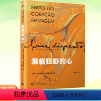 [正版]YS 濒临狂野的心 克拉丽丝李斯佩克朵女性成长小说 叙事顿悟和内心独白构筑了主人公的一生 外国文学小说书 人民