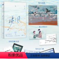 [正版]晚风小说书 周晚欲 从校园到都市暗恋be文 新增全新番外和出版后记清冷作家江潮生X风中玫瑰黎晚 等风降临作者