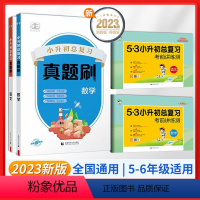 (4本)语文+数学[真题刷+考练测] 小学升初中 [正版]小升初真题卷2024 53小升初总复习考前讲练测语文数学英语3