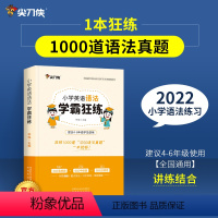 小学英语语法[学霸狂练] 小学通用 [正版]2022新版小学英语单字词汇语法口语大全尖刀侠小升初学霸狂背英语语法狂记狂练