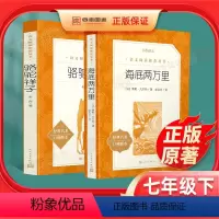 [正版]骆驼祥子和海底两万里老舍原著七年级下册读物初中生语文必读名著课外阅读教育书籍初一七下课外书老师读物人民文学出版