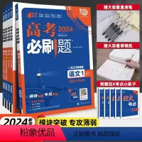 高考必刷题专题版语文 [全国通用]语文2.现代文阅读 [正版]2024版高考专题突破语文1语言文字应用2现代文阅读3古诗