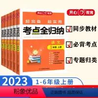 考试重点全归纳(语文)-人教版 一年级上 [正版]2023秋新版小学语文考试重点知识全归纳人教版一1二2三3四4五5六6