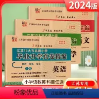 [3套]小升初真卷精编-语数英 小学升初中 [正版]超能学典2024江苏13大市小学毕业升学真卷精编江苏版语文数学英语小