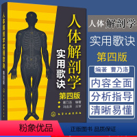 [正版]人体解剖学实用歌诀 第四版人体穴位分布图谱 人体器官解剖临床医学书 人体构造结构书 曹乃洛 化学工业出版社