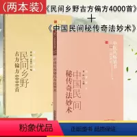 [正版]2本 民间乡野古方偏方4000首 方药存真+中国民间秘传奇法妙术 特技绝活民间偏方秘方大全 黄晖 雷明 吴国兴