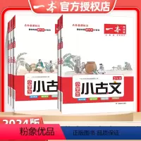 小古诗 小学三年级 [正版]2024版小学生小古文阅读一二年级三年级四年级五年级六年级小升初小学语文阅读训练100篇古诗