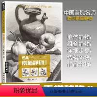[正版]素描静物Ⅱ组合临摹书籍美术基础技法结构到位绘画照片册高艺联考主导陈平陶罐组合敲门砖教学程材大八开范本杨建飞
