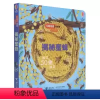 揭秘蜜蜂(低幼版)(精)/尤斯伯恩看里面 [正版]揭秘蜜蜂(低幼版)(精)/尤斯伯恩看里面