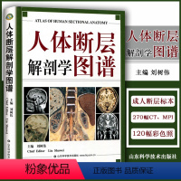 [正版]A人体断层解剖学图谱(精) CT人体断层局部解剖影像学 人体解剖学断面解剖学图谱 刘树伟主编 山东科学技术出版