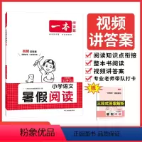 小学语文暑假阅读 小学一年级 [正版]2024新小学语文暑假阅读人教版1升2升3升4升5升6一升二升三升四五六年级暑假衔