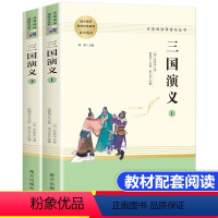 三国演义上册+下册 [正版]三国演义原著上下全2册罗贯中著高中生选读语文拓展四大名著阅读课程化丛书南方出版社高中高二三选