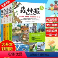[正版]森林报春夏秋冬彩图版全套共4本合集三四五六年级小学生11-12-13-14岁课外读物阅读书儿童文学科普读物老师