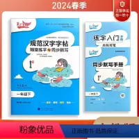 规范汉字字帖 人教版 一年级下册(配教学视频+同步默写+练字入门手册) [正版]2024春笔下生辉规范汉字字帖随堂练字与