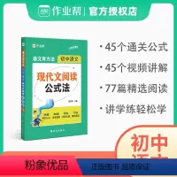 现代文阅读公式法[配45个视频讲解] 初中通用 [正版]2024版初中语文现代文阅读公式法语文有方法初中语文阅读理解专项