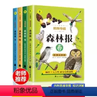 [彩图注音]春夏秋冬全套4册 [正版]森林报春夏秋冬全四册注音版 原著完整版 小学生一年级二年级三年级课外阅读书籍必读儿