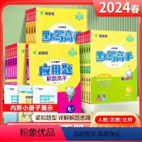 [默写+应用解题高手]语数英-苏教版 三年级下 [正版]2024春雨实验班应用解题高手一年级二年级三年级四4五5六下册语