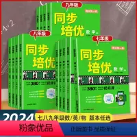 数学-北师版[全套视频解答] 九年级/初中三年级 [正版]2024春名校课堂周末练一练同步培优七八九年级初一二三数学英语