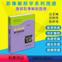 [正版]腹部影像解剖图谱 影像解剖学系列丛书 医学图像鉴别诊断图 西医书籍 9787533182359山东科学技术