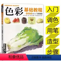 [正版]色彩基础教程零基础从入门到美院临摹书籍单个体汇静物调中国美院名师教你画色彩高艺校联考临摹范本材水果蔬菜杨建飞主
