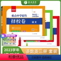 [3本套装]语文+数学+英语 小学升初中 [正版]2023新春雨实验班小升初重点中学招生择校卷语文数学英语小学生六年级毕