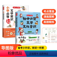 [2本套装]小学+初中 必背文学文化常识 初中通用 [正版]初中必背文学文化常识文学常识积累大全导图版中国文学文化常识阅