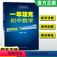 一年攻克初中数学(7-9年级适用) 初中通用 [正版]新1年攻克初中数学何德耀编著初中数学解题技巧教辅七八九年级数学方法