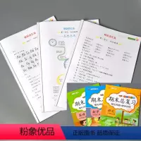 全3册 三年级上册 语文+数学+英语 期末总复习 小学通用 [正版]小学生一二三四五六年级上册下册语文数学英语期末总复习
