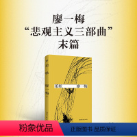 [正版]书店柔软 廖一梅“悲观主义三部曲”末篇 纪录片式披露惊世骇俗之作《柔软》的幕后故事