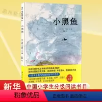 单本全册 [正版]书店小黑鱼(精) (美)李欧·李奥尼著 绘本南海出版公司学龄前儿童