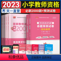 [正版]天一教师证资格证2023小学历年真题模拟试卷+必刷2000题全套2023年小学教师证资格证考试用书2023教师