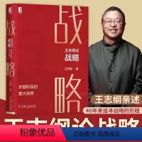 [正版]王志纲论战略 关键阶段的重大抉择 王志纲 著 战略认知 战略分析 战略制定 战略实践 企业管理书籍 论战略书籍