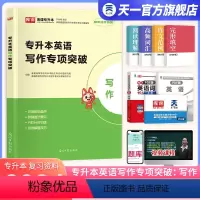 [正版]天一库课2024统招专升本英语写作专项突破英语作文模板阅读理解练习题专接专转本词汇书语法书四川山东河南广东江西