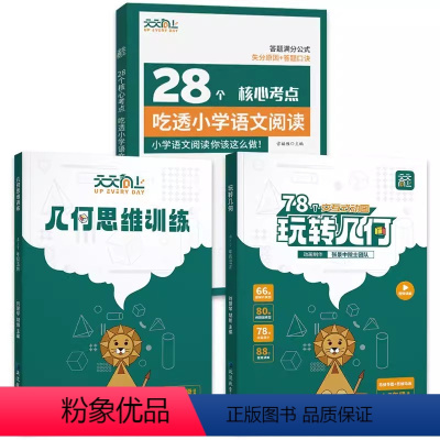 [3册]玩转几何2本套+28个核心语文阅读 小学通用 [正版]天天向上小学数学玩转几何模型思维训练图解视频讲解动画演示7