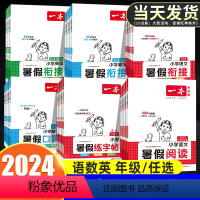 [6本更划算]语数英暑假衔接+阅读+口算+字帖(人教版) 小学四年级 [正版]2024新版一本小学暑假衔接一升二升三升四