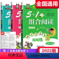 [语文]5+1组合阅读周周练 七年级/初中一年级 [正版]快捷语文周周练七年级八九年级5+1组合阅读活页版初中一二三年级